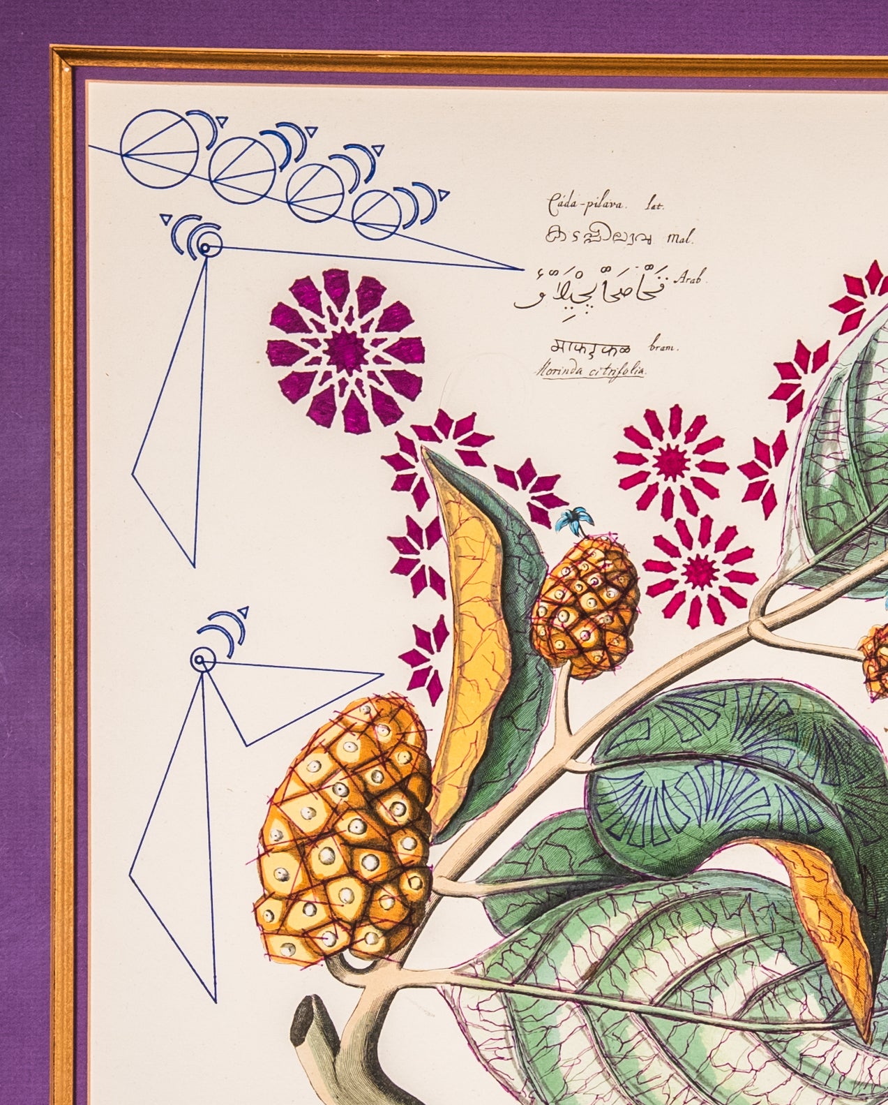 Interstellar Cultivation