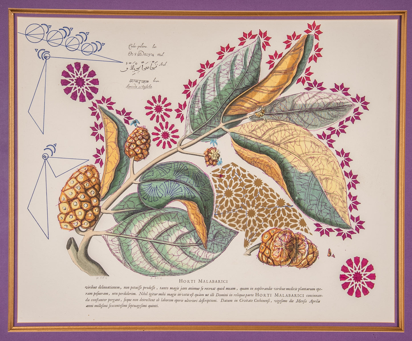 Interstellar Cultivation