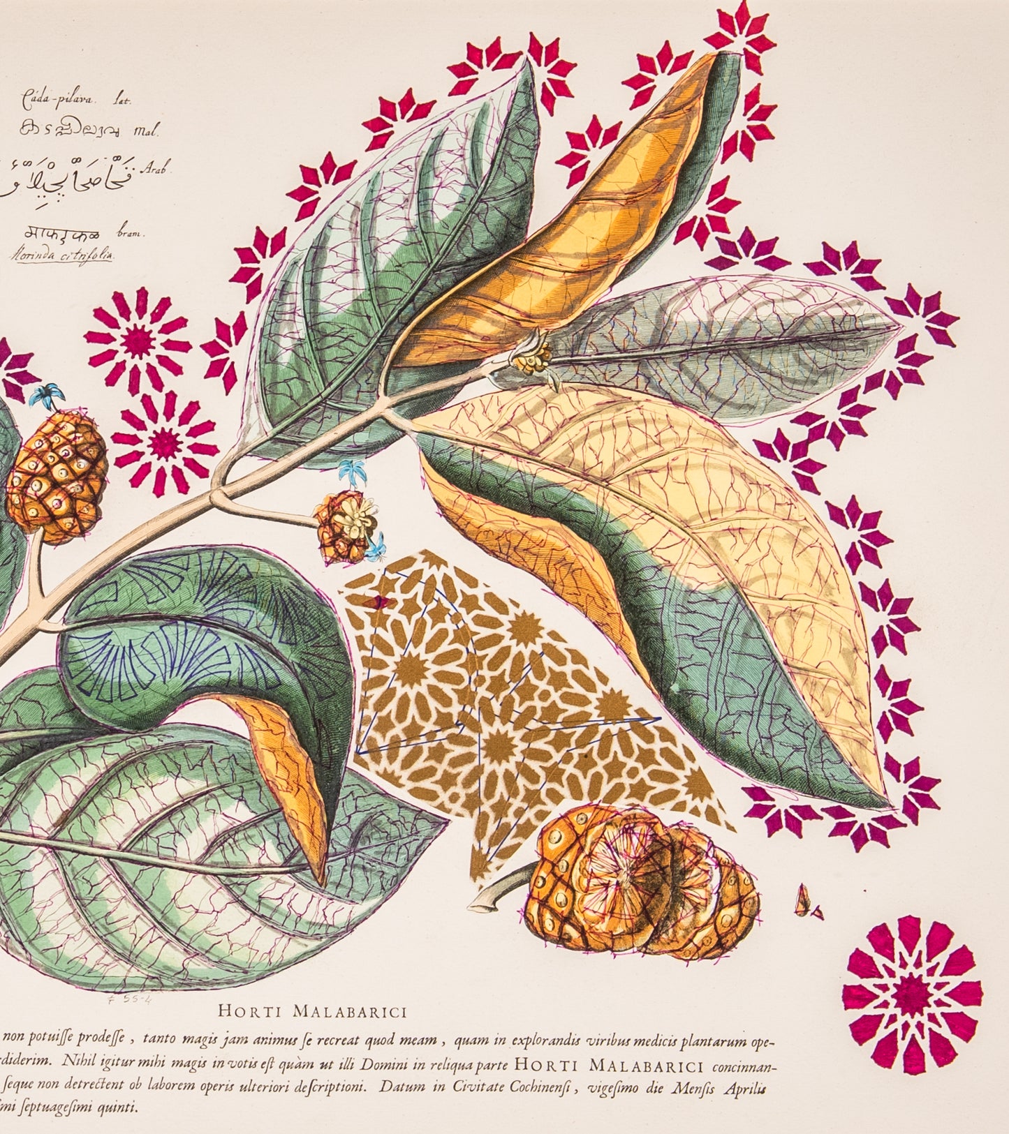 Interstellar Cultivation