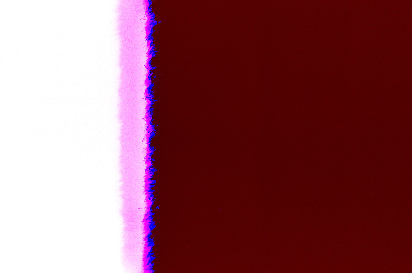 Expansive Thoughts 8 - The Urge to Create