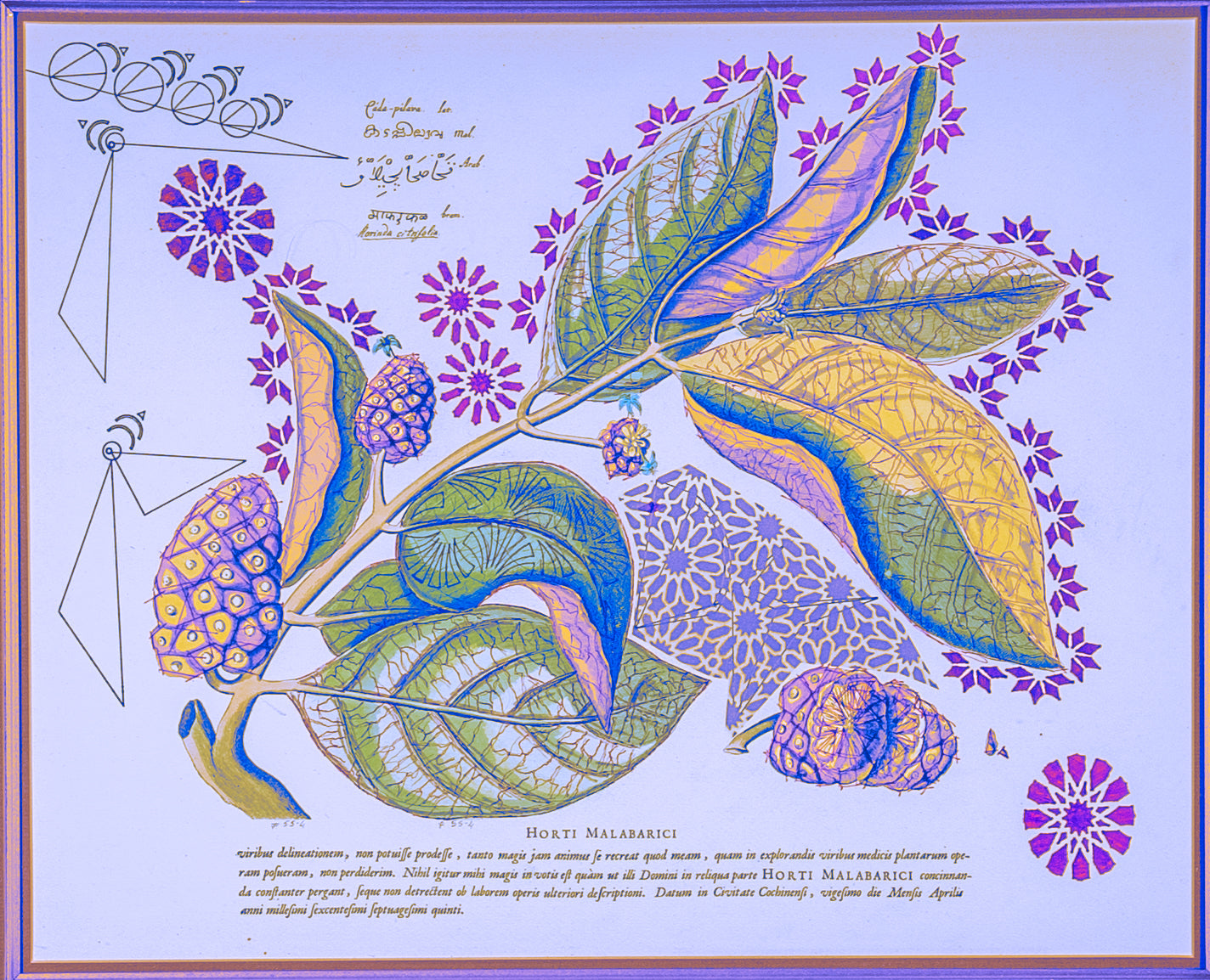 Interstellar Cultivation - Prints