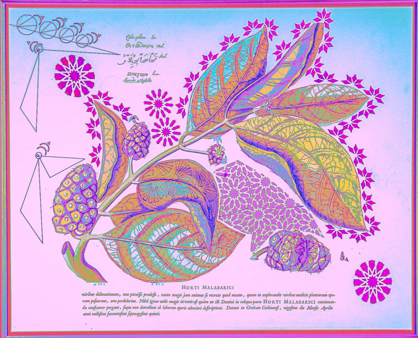 Interstellar Cultivation - Prints