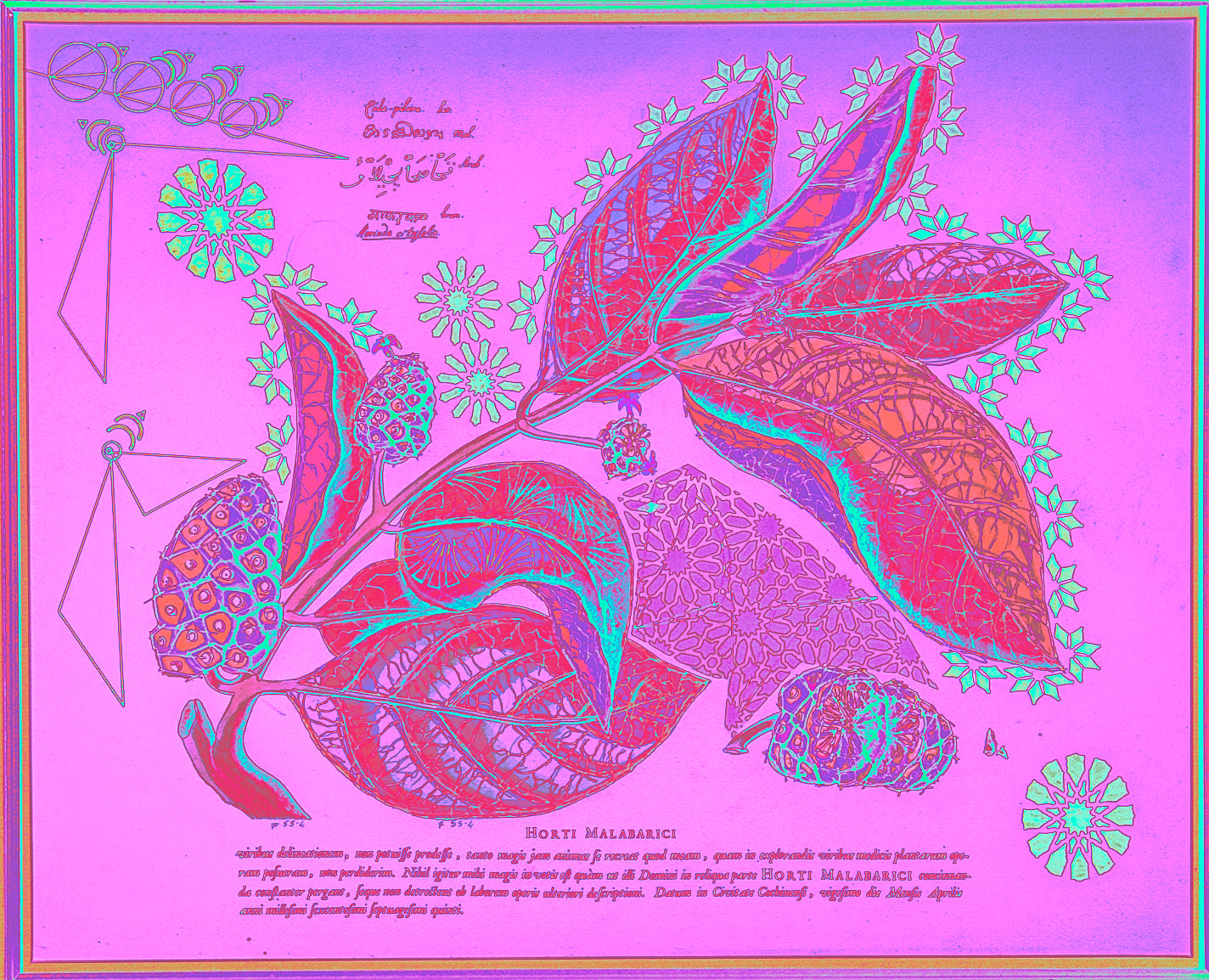 Interstellar Cultivation - Prints