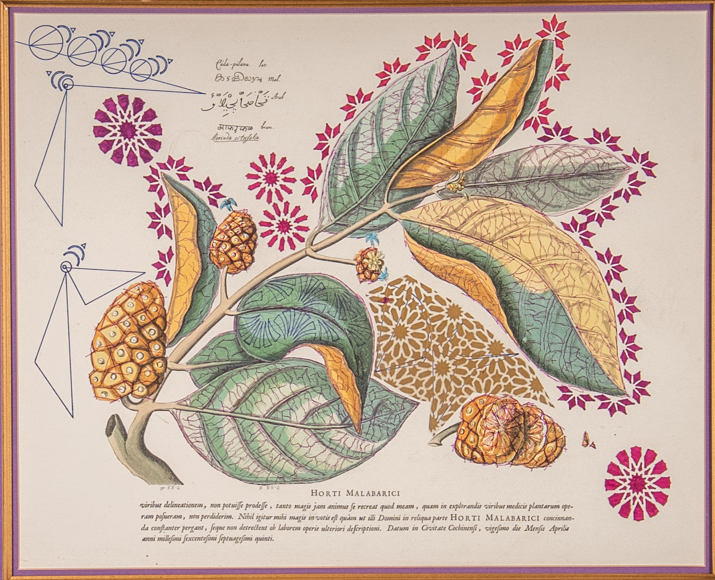 Interstellar Cultivation - Prints