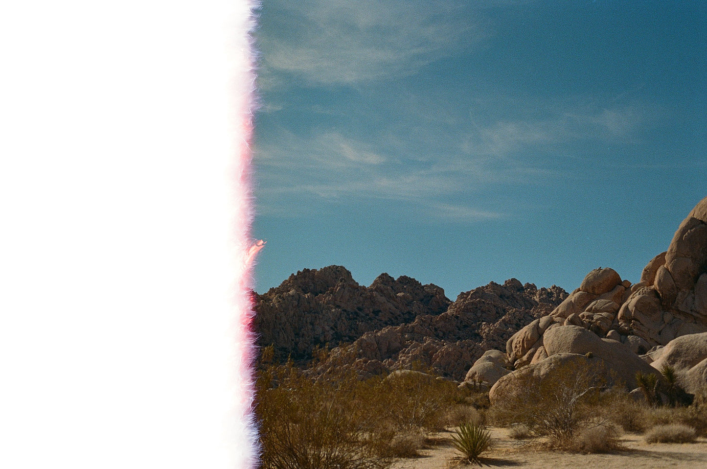 Joshua Tree - Film Original - 35mm