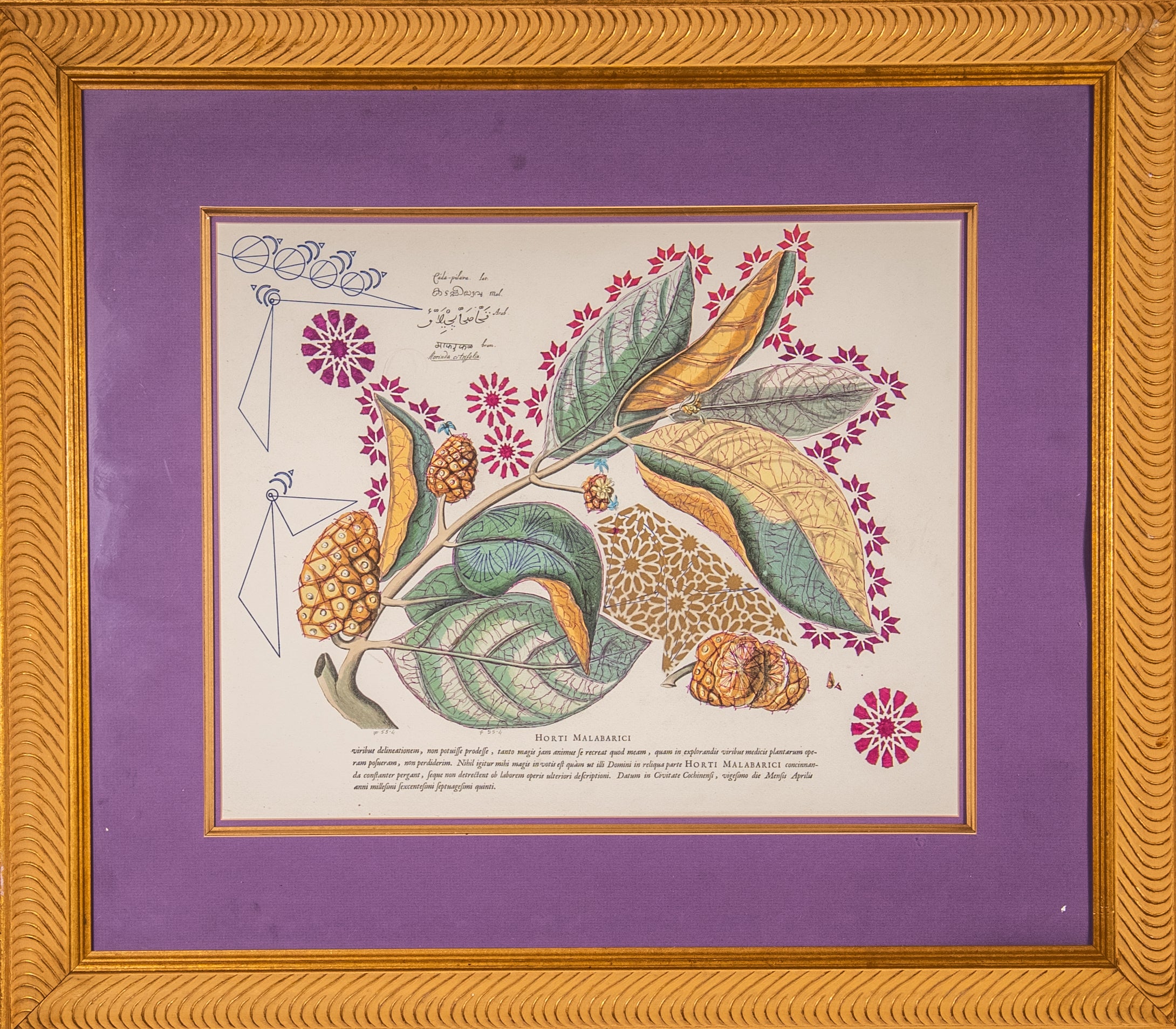 Interstellar Cultivation