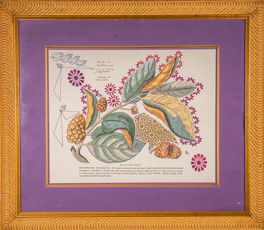 Interstellar Cultivation