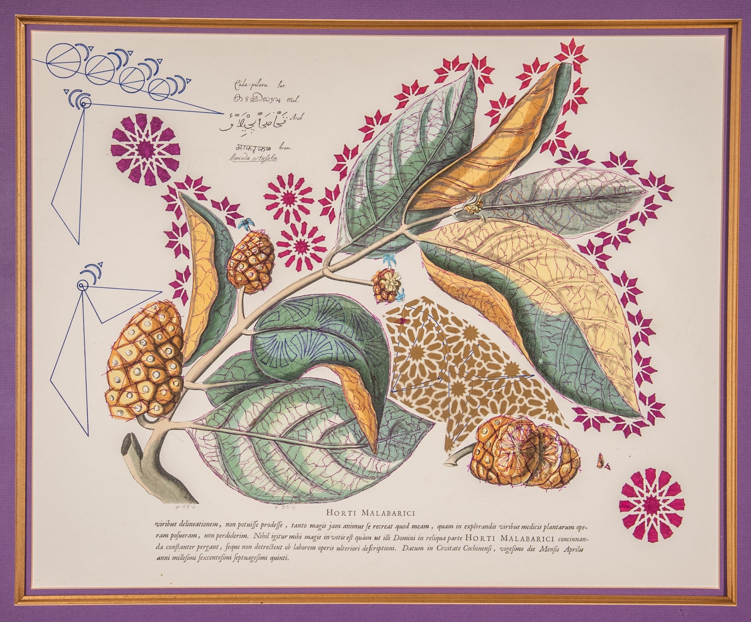 Interstellar Cultivation