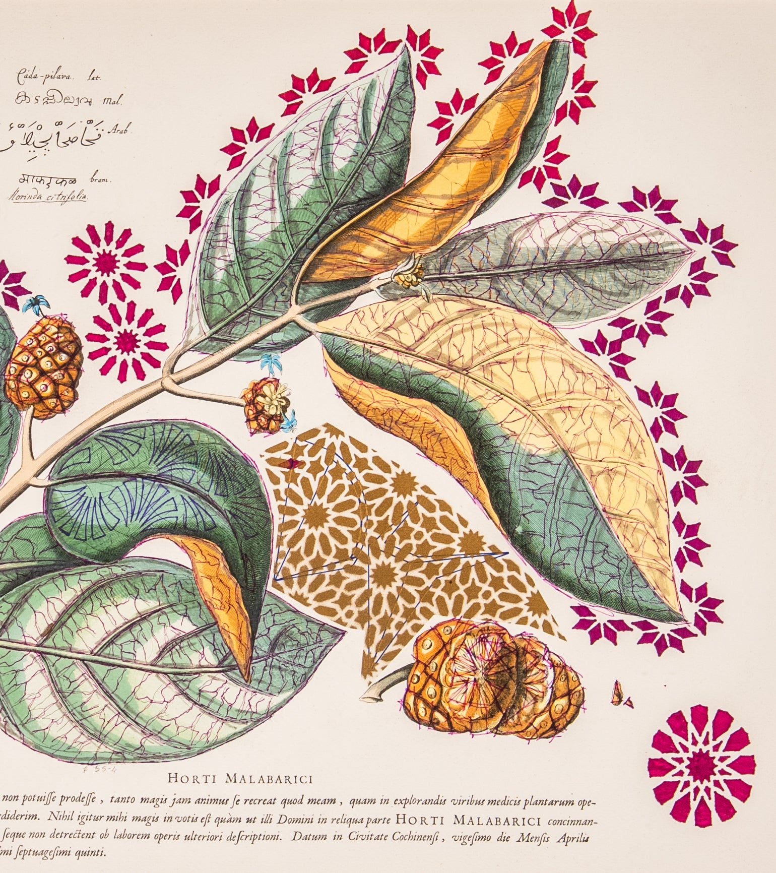 Interstellar Cultivation