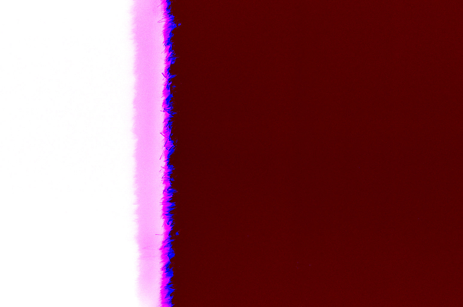 Expansive Thoughts 8 - The Urge to Create