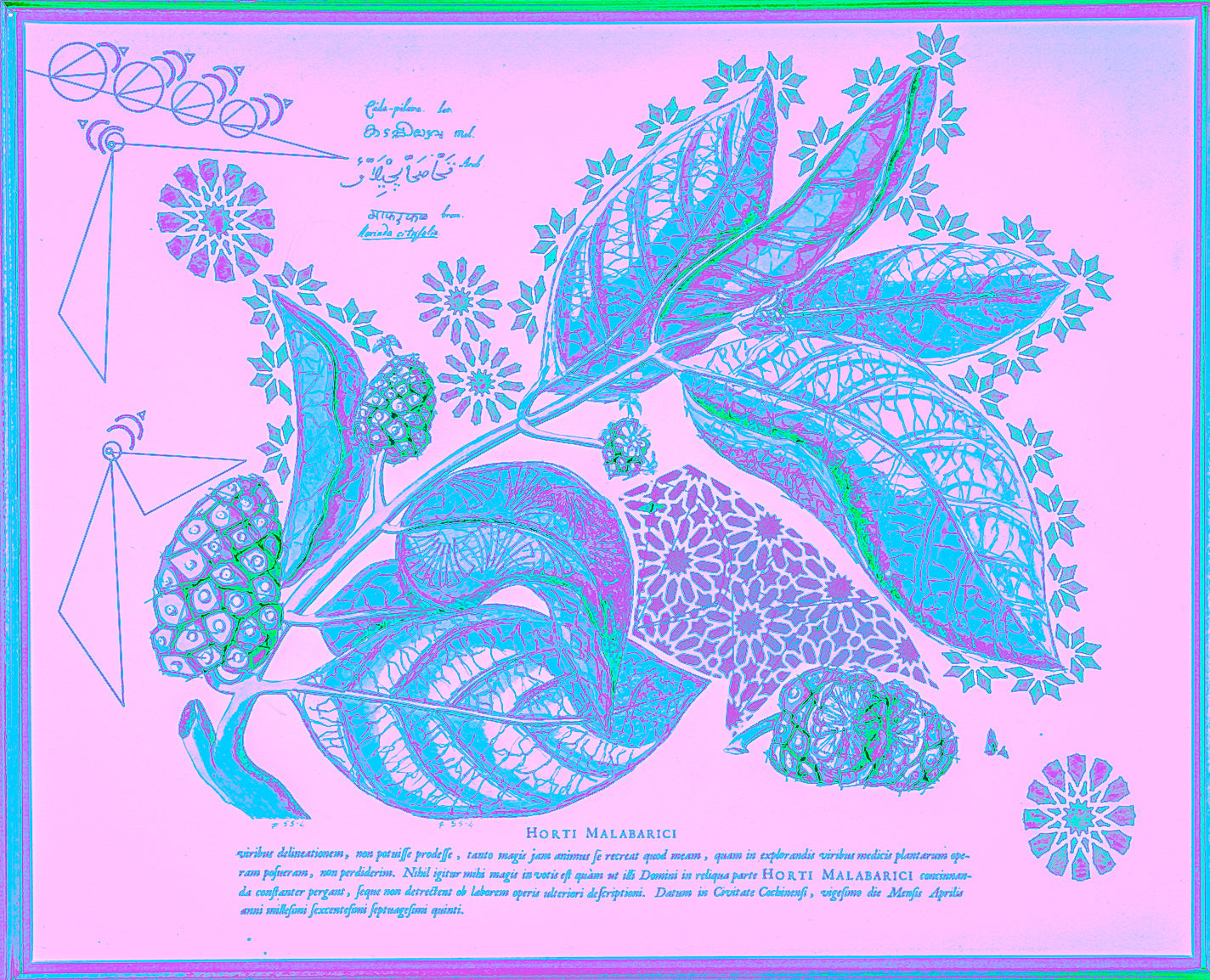 Interstellar Cultivation - Prints