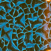 Plexus - Film 1 - 35mm