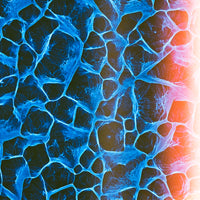 Plexus - Film Original - 35mm