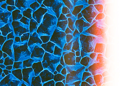 Plexus - Film Original - 35mm