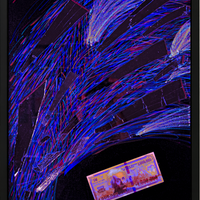 Einstein for President - Print