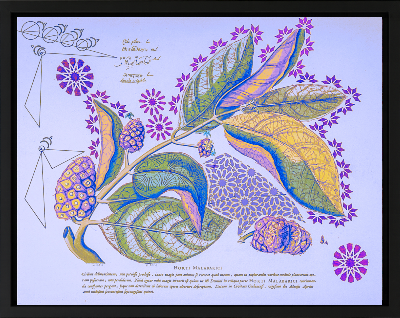 Interstellar Cultivation