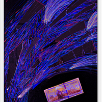 Einstein for President - Print