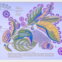 Interstellar Cultivation