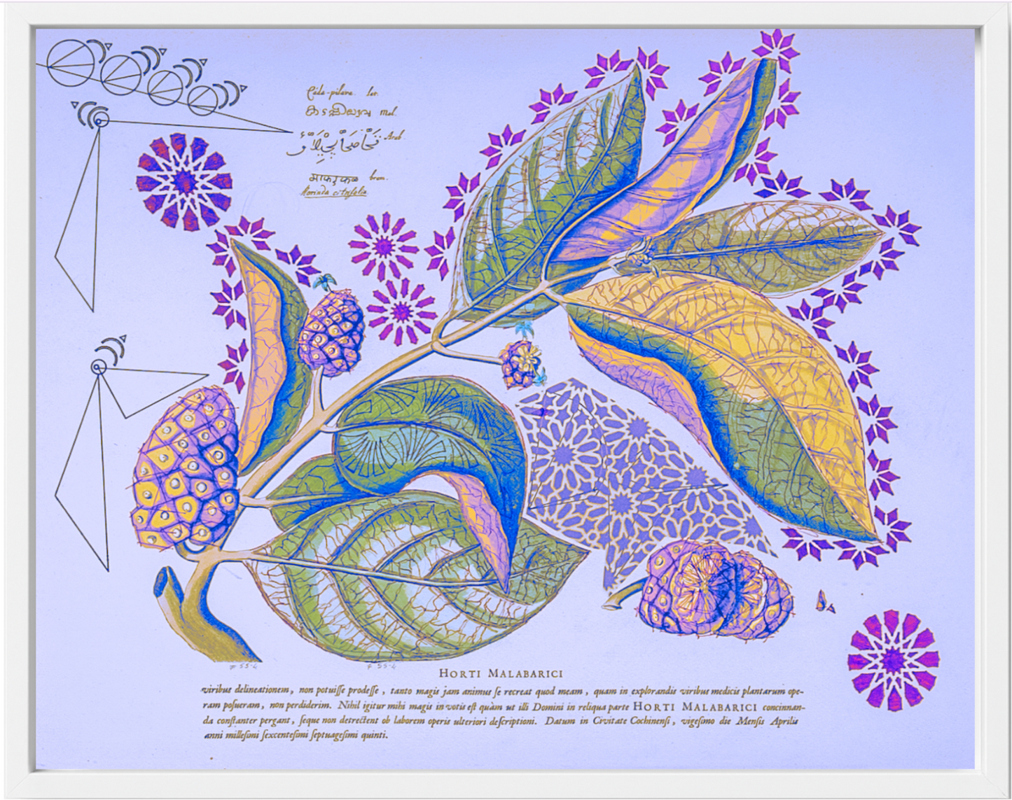 Interstellar Cultivation