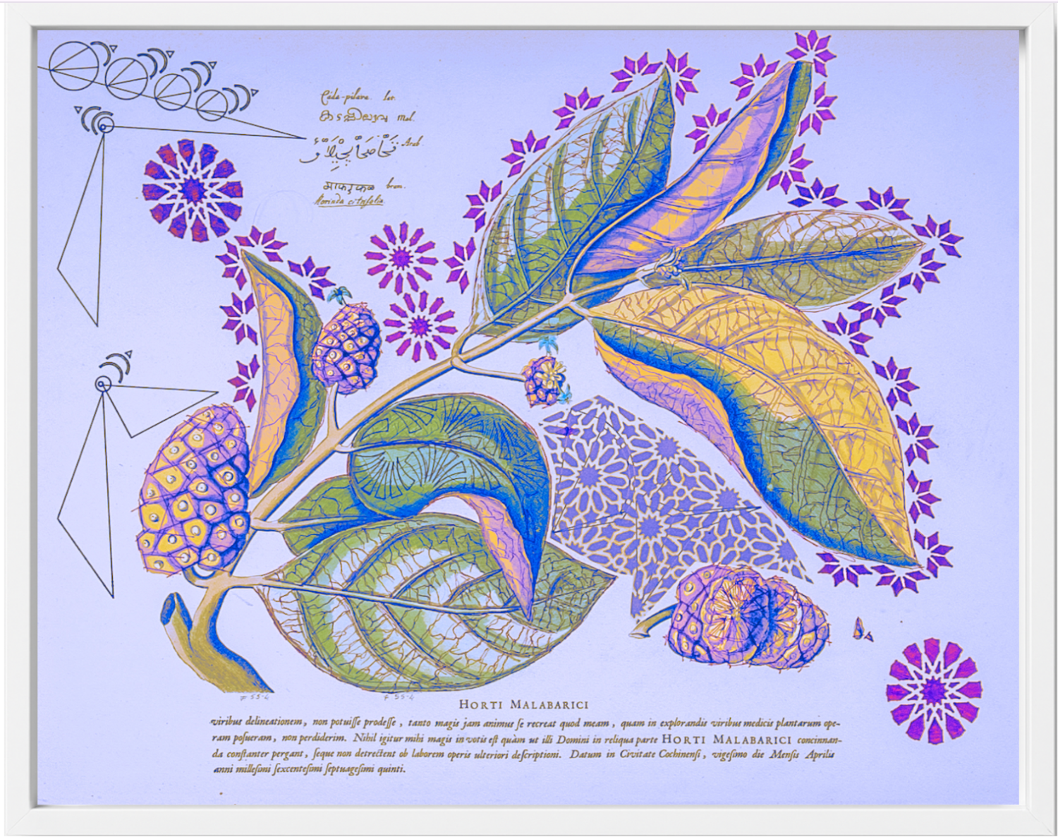 Interstellar Cultivation