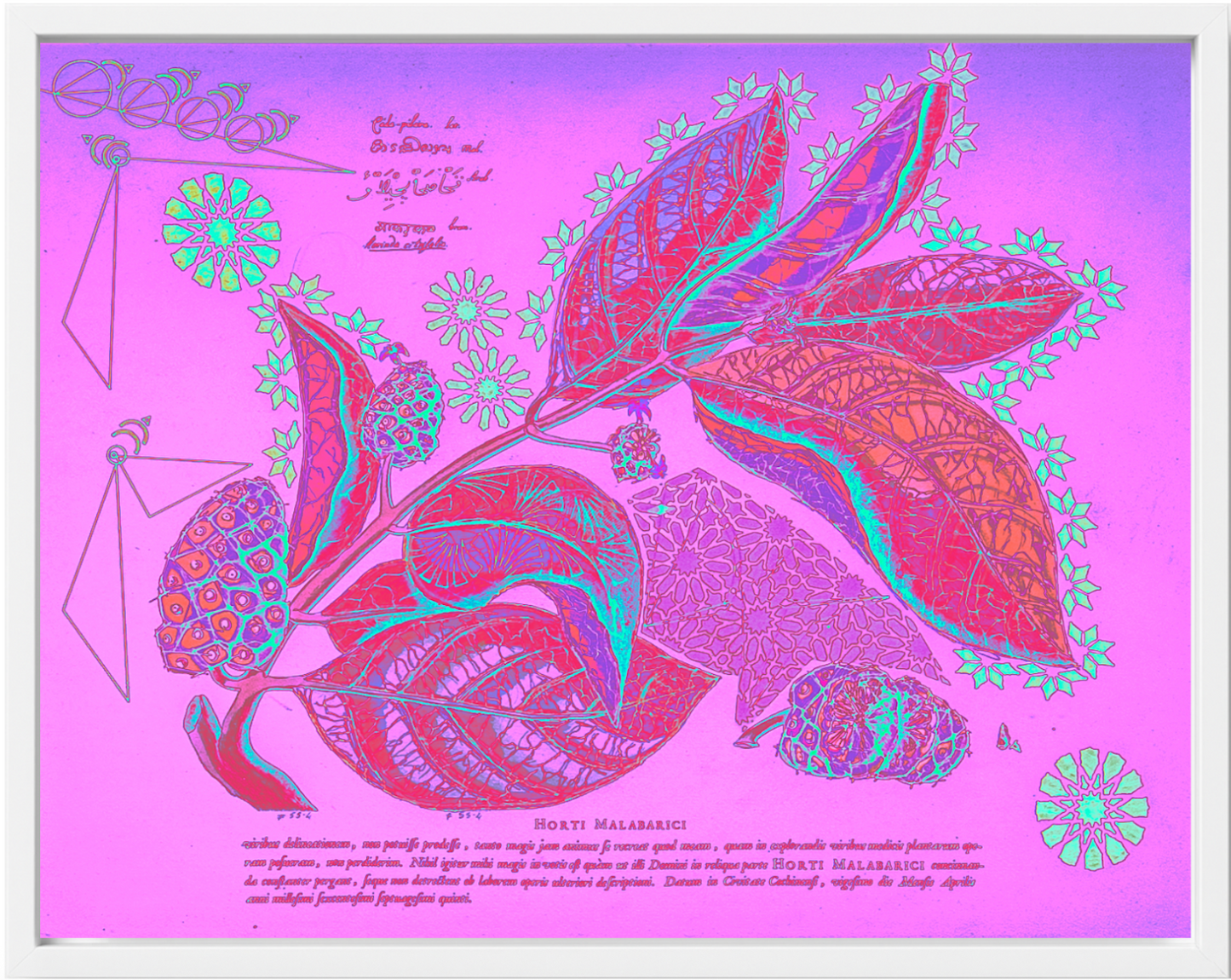 Interstellar Cultivation