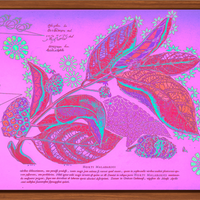 Interstellar Cultivation