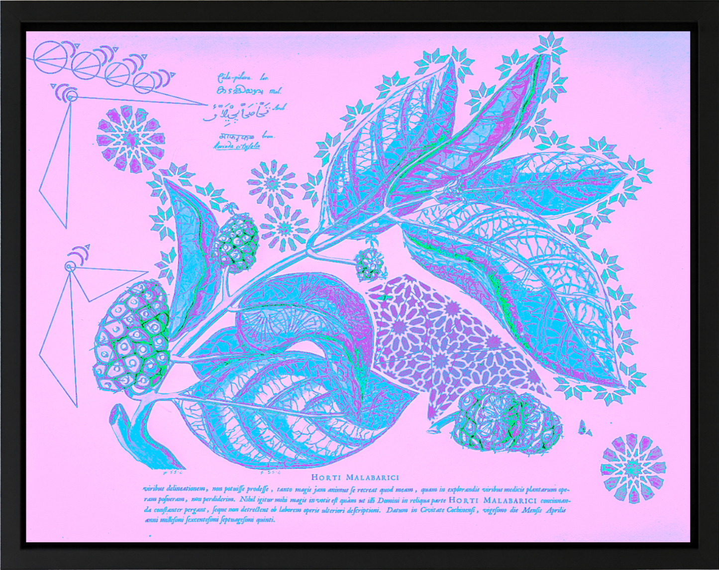 Interstellar Cultivation