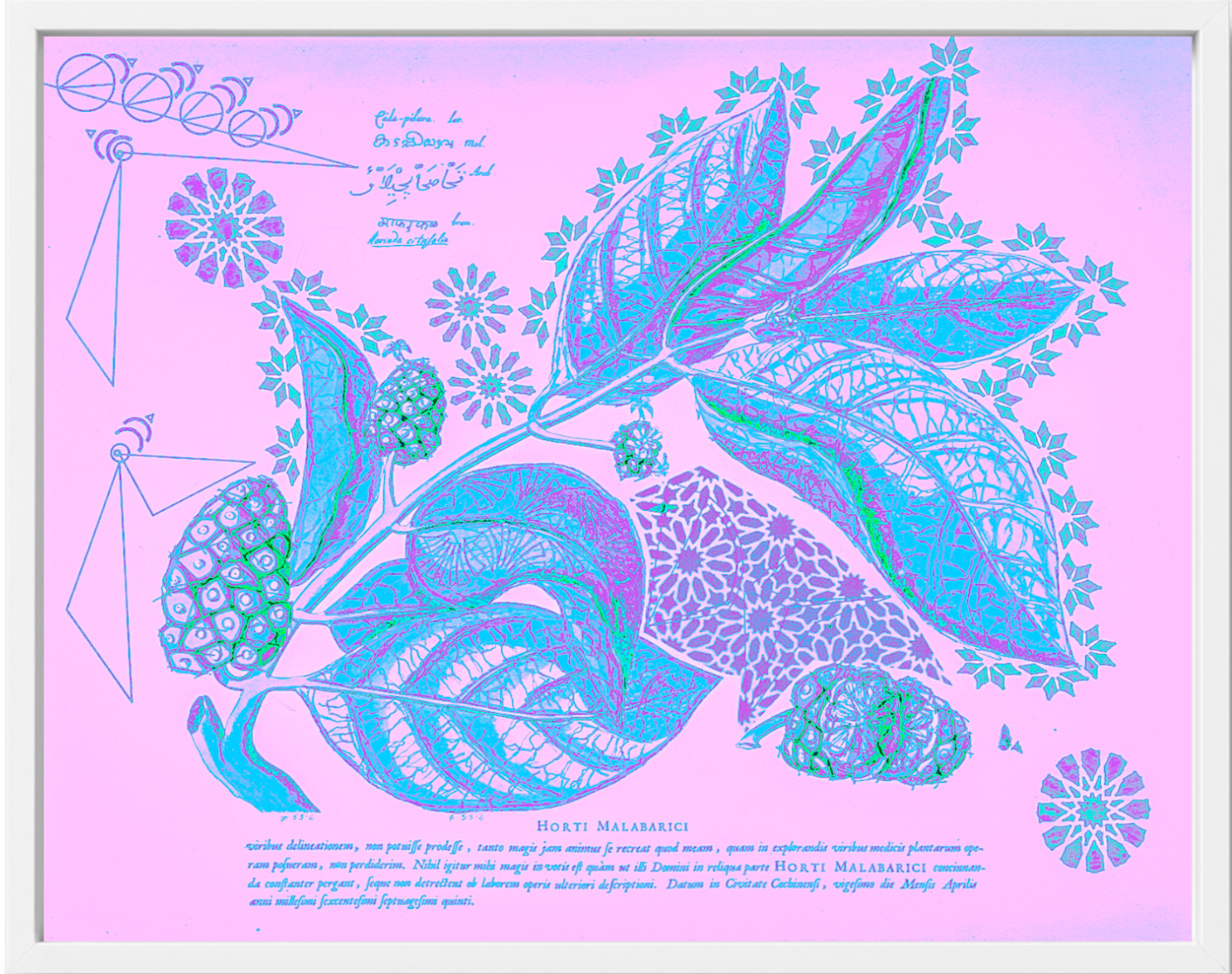 Interstellar Cultivation