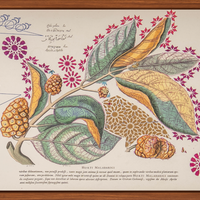 Interstellar Cultivation