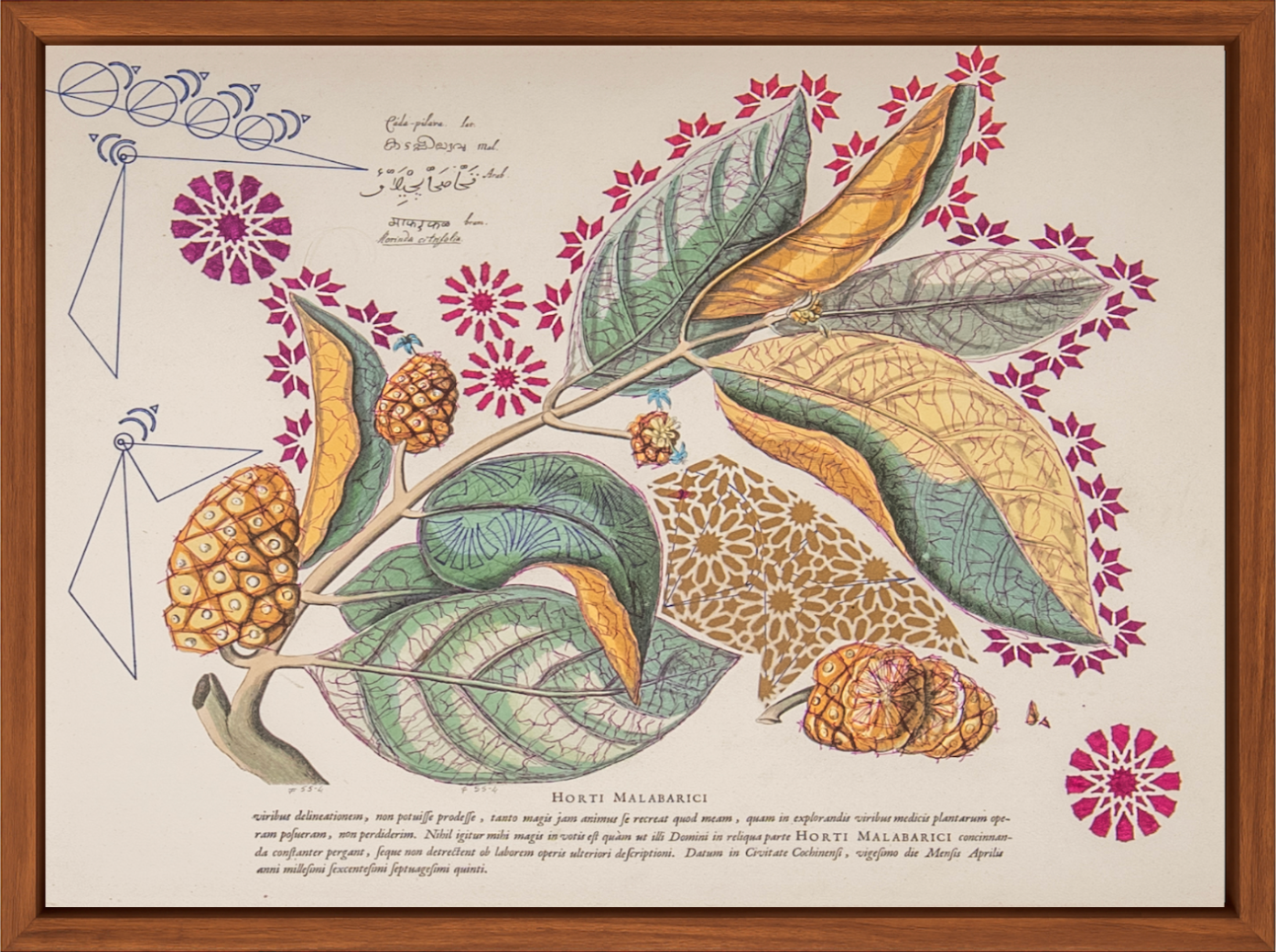 Interstellar Cultivation