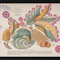 Interstellar Cultivation