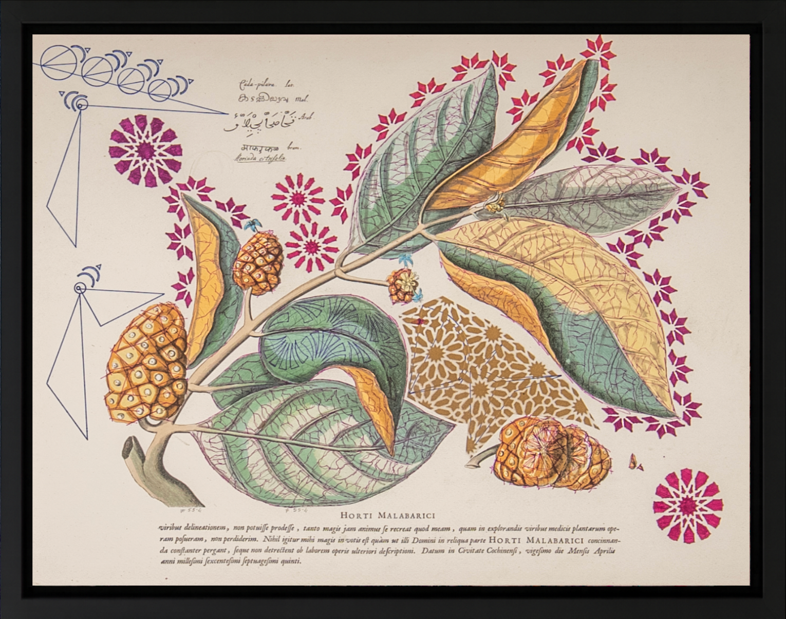 Interstellar Cultivation