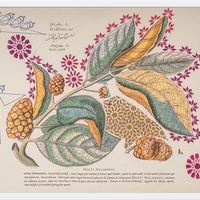 Interstellar Cultivation