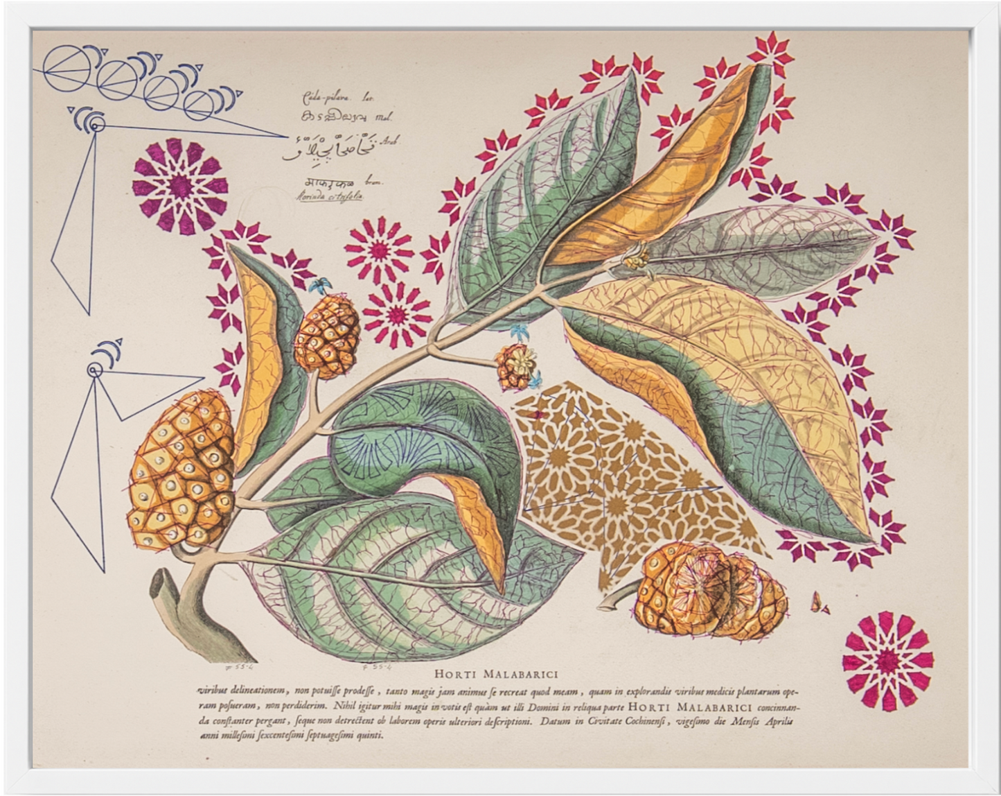 Interstellar Cultivation