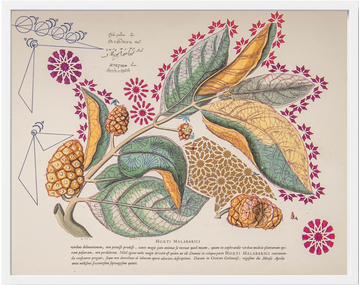 Interstellar Cultivation